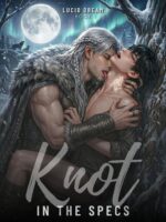 Knot in the Specs: a Mm Omegaverse Portal Fantasy Romance With Fated Mates, Wolf Shifter Prince and Game Designer Hero Saga Book