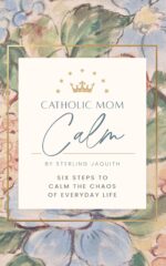 Catholic Mom Calm: Six Steps to Calm the Chaos of Everyday Life