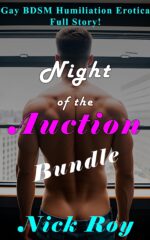 The Night of the Auction Bundle: the Full Story: a Gay, Bdsm, Humiliation Erotica