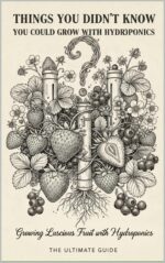 Things You Didn't Know You Could Grow Using Hydroponics and How to Do It