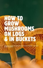 How to Grow Mushrooms on Logs & in Buckets: Harvest Pounds of Gourmet Mushrooms in Weeks – No Fancy Setup Required 2025–2026 Edition Maha Kitchen Garden Series — by Savannah