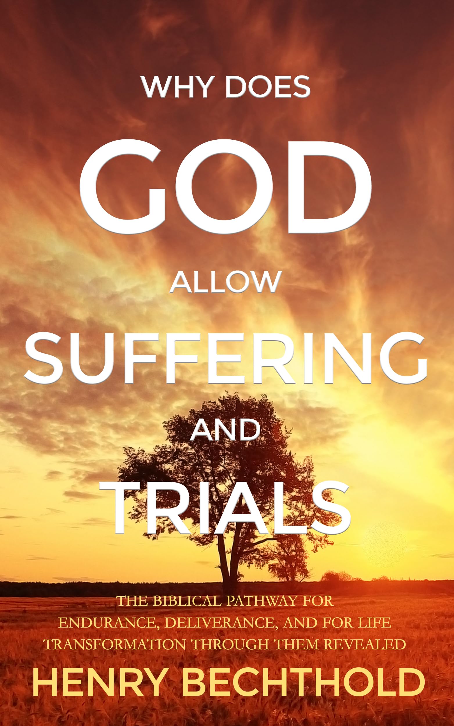 Why Does God Allow Suffering and Trials: the Biblical Pathway for Endurance, Deliverance, and for Life Transformation Through Them Revealed