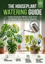 The Houseplant Watering Guide: Learn Exactly When and How to Water Your Indoor Plants Indoor Plant Mastery