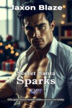 Secret Santa Sparks: a Festive Gay Office Romance With Secret Admirer Twists Blaze's Winter Flames: a Mm Holiday Romance