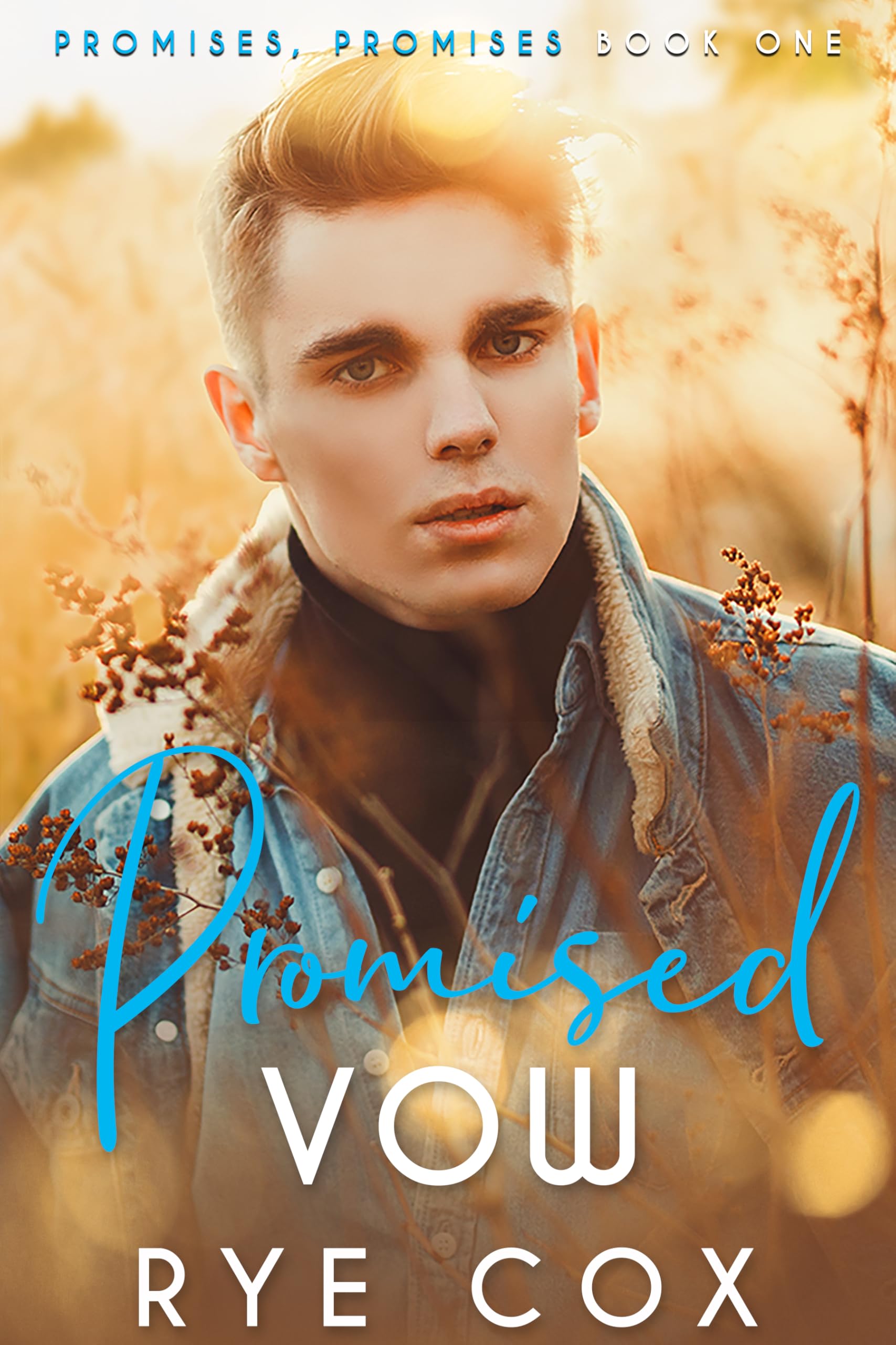 Promised Vow: a Fake Fiancés Mm Romance Promises Book