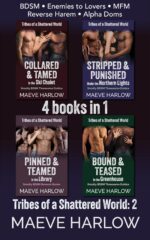 Tribes of a Shattered World Bundle Part 2: Alpha Dom Enemies to Lovers