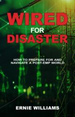 Wired for Disaster: How to Prepare for and Navigate a Post-emp World