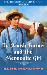The Amish Farmer and the Mennonite Girl: a Christian Romance About Faith, Family, and Forbidden Love of Fernbrook Book