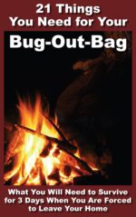 21 Things You Need for Your Bug-out-bag: What You Will Need to Survive for 3 Days When You Are Forced to Leave Your Home Prepping Ideas Book