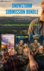 Snowstorm Submission Bundle: Mm Rugged Woodsman Winter Cabin Erotic Shorts Books In