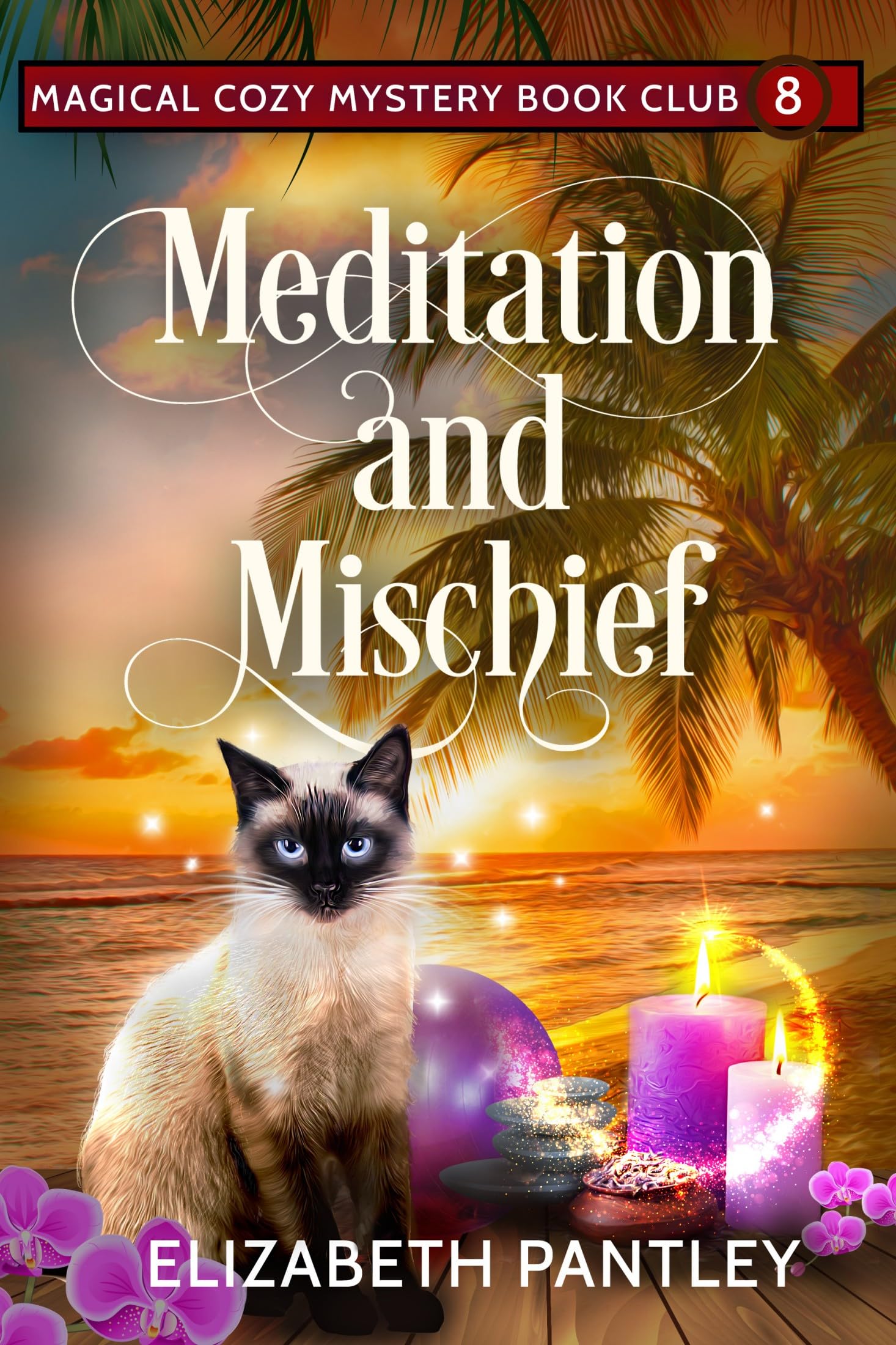 Meditation and Mischief: Magical Cozy Mystery Book Club #8