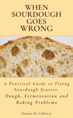 When Sourdough Goes Wrong: a Practical Guide to Fixing Sourdough Starter, Dough, Fermentation and Baking Problems