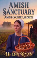 Amish Sanctuary Country Secrets Book