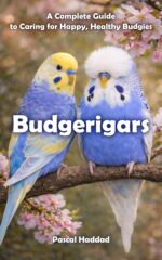 Budgerigars: a Complete Guide to Caring for Happy, Healthy Budgies