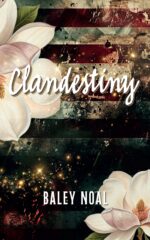 Clandestiny: Two Broken Paths. a Chance Meeting When They Needed It the Most. a Love Guided by Destiny.