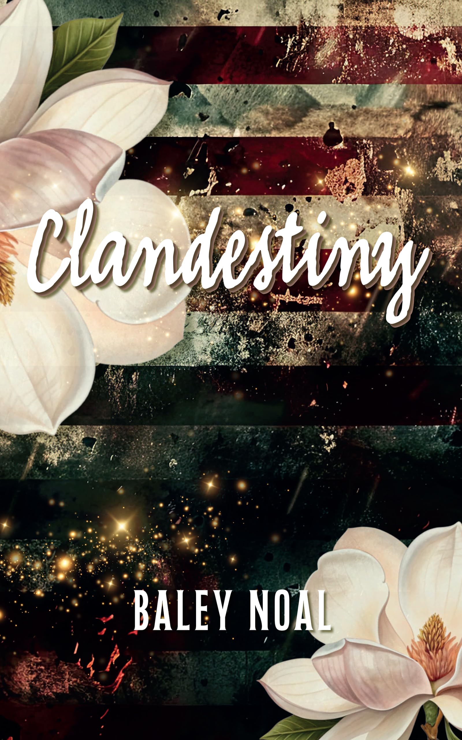 Clandestiny: Two Broken Paths. a Chance Meeting When They Needed It the Most. a Love Guided by Destiny.