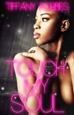 Touch My Soul: an Urban Fiction Love Story