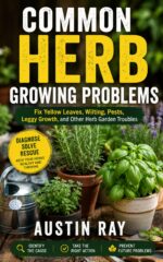 Common Herb Growing Problems: Fix Yellow Leaves, Wilting, Pests, Leggy Growth, and Other Herb Garden Troubles