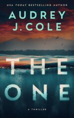 The One: a Thriller