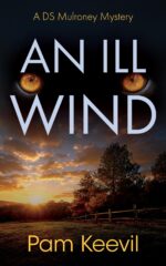 It's an Ill Wind: a Ds Mulroney Mystery