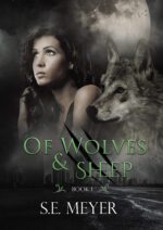 Of Wolves & Sheep: Dystopian Post Apocalyptic Thriller Series Wool Book