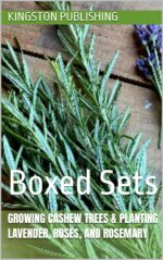 Growing Cashew Trees & Planting Lavender, Roses, and Rosemary : Boxed Sets With Fruit