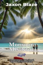 Monsoon Mistletoe: a Steamy Gay Christmas Romance: Lifeguard Passion in a Tropical Monsoon Blaze's Winter Flames: a Mm Holiday Romance