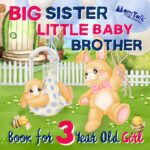 Big Sister Little Baby Brother Book for 3 Year Old Girl: a Warm Rhyming Story to Prepare for a New Sibling Sibling Books By
