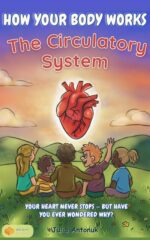 How Your Body Works: the Circulatory System: an Illustrated Anatomy Guide for Kids | Heart, Blood & Vessels Made Simple