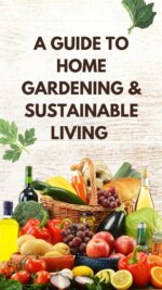 A Guide to Home Gardening & Sustainable Living