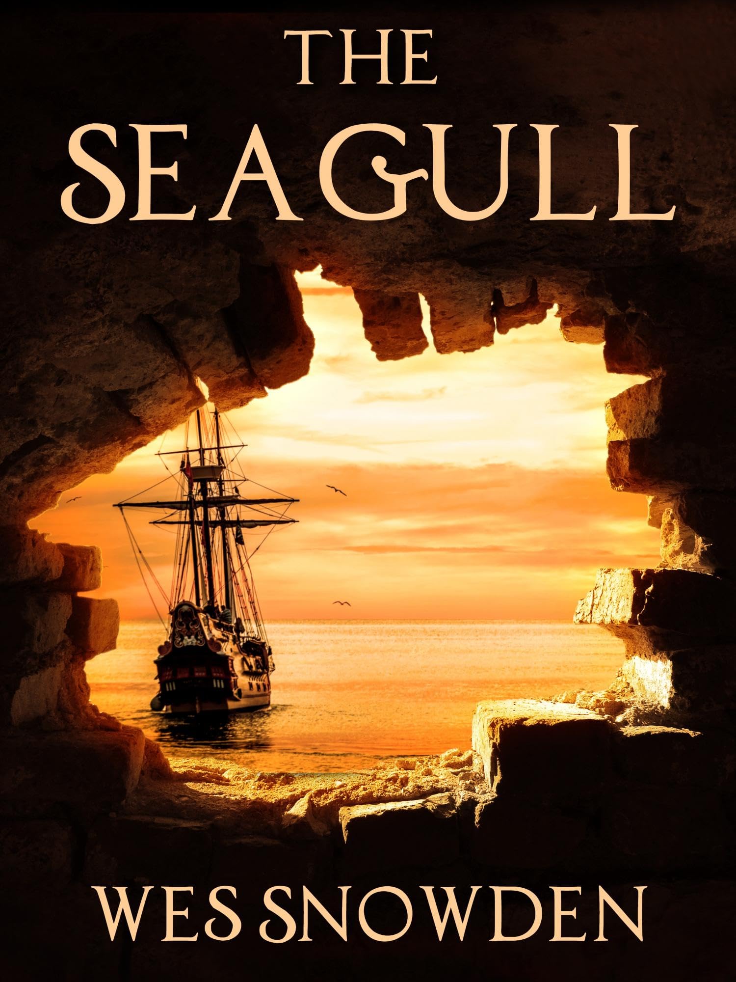 The Seagull: a Thrilling Blend of Adventure, Intrigue, Love, and Redemption.