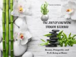 The Art of Growing Indoor Bamboo: Beauty, Prosperity, and Well-being at Home
