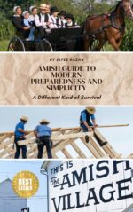 Amish Guide to Modern Preparedness and Simplicity: a Different Kind of Survival