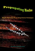 Propagating Herbs: How to Reproduce Plants Using Various Techniques