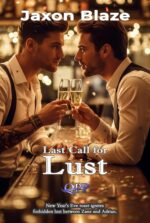 Last Call for Lust: a Steamy New Year's Eve Encounter: Gay Romance Blooms Between Bartender and Lingering Patron Blaze's Winter Flames: a Mm Holiday Romance