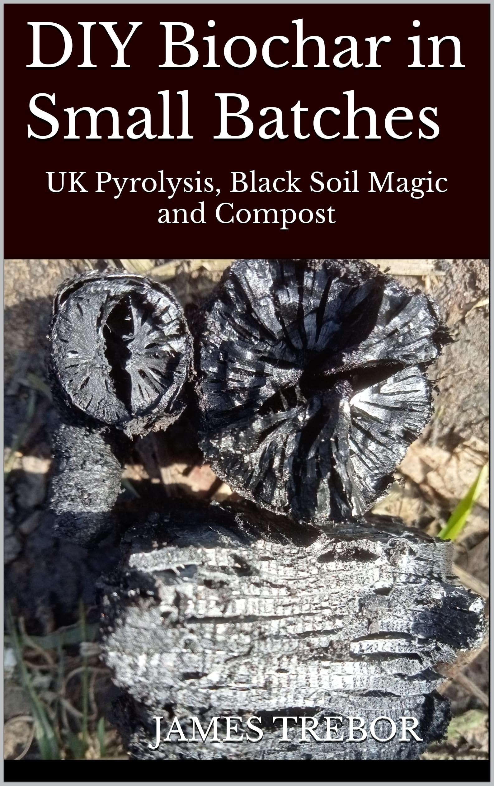 Diy Biochar in Small Batches : Uk Pyrolysis for Black Soil Magic