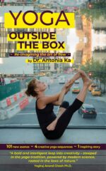 Yoga Outside the Box: Re-imaging the Art of Flow