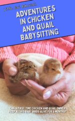 Adventures in Chicken and Quail Babysitting: a Beginner’s Chaotic First Six Months Raising Chickens and Quail Stories, Hard Lessons, and Practical