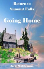 Going Home to Summit Falls Book