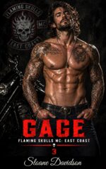 Gage Skulls Mc: East Coast Chapter Book