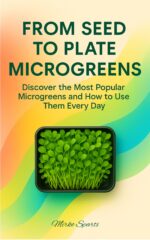 From Seed to Plate Microgreens