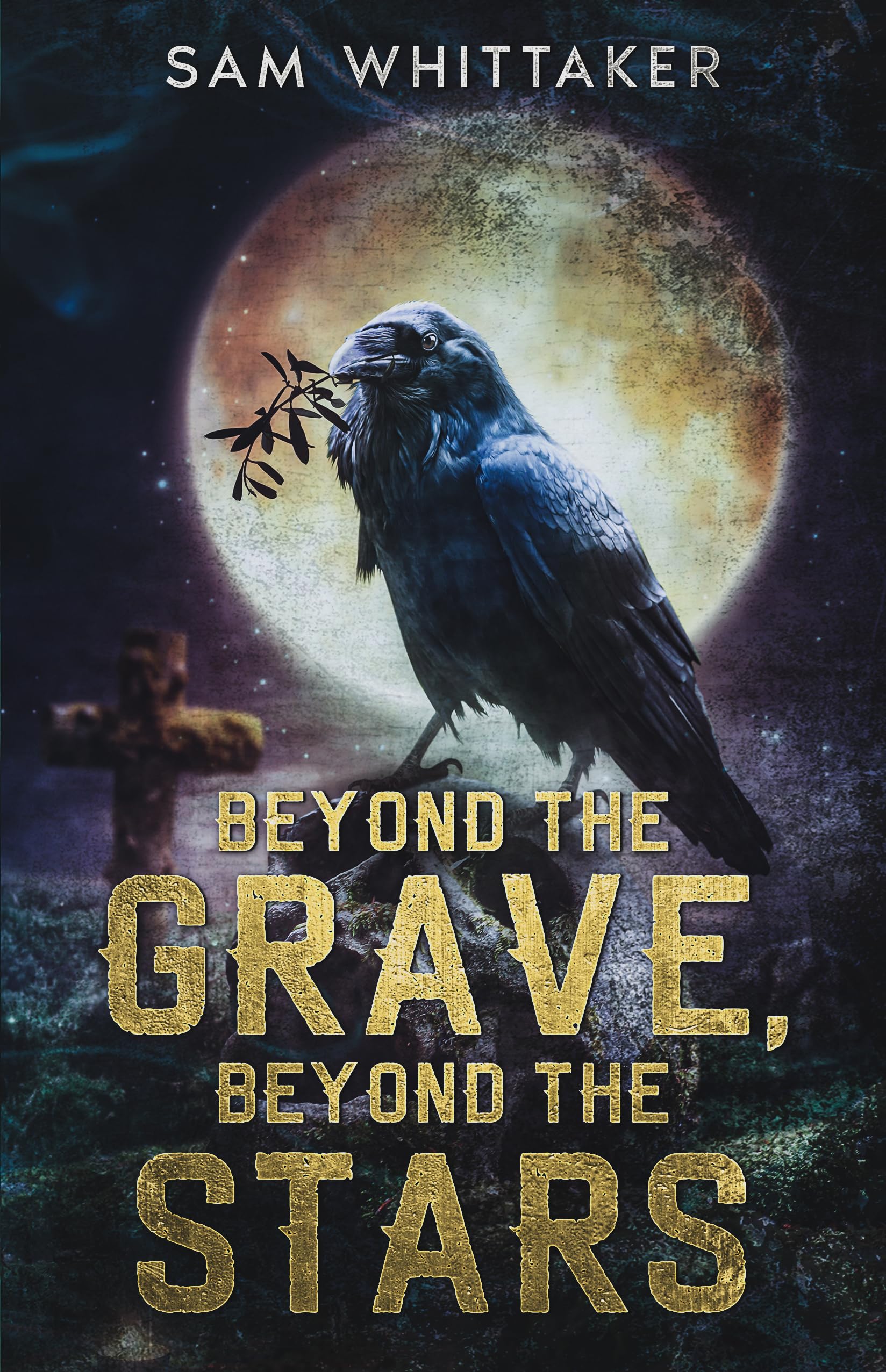 Beyond the Grave, Beyond the Stars: a Collection of Short Horror Stories & Novellas