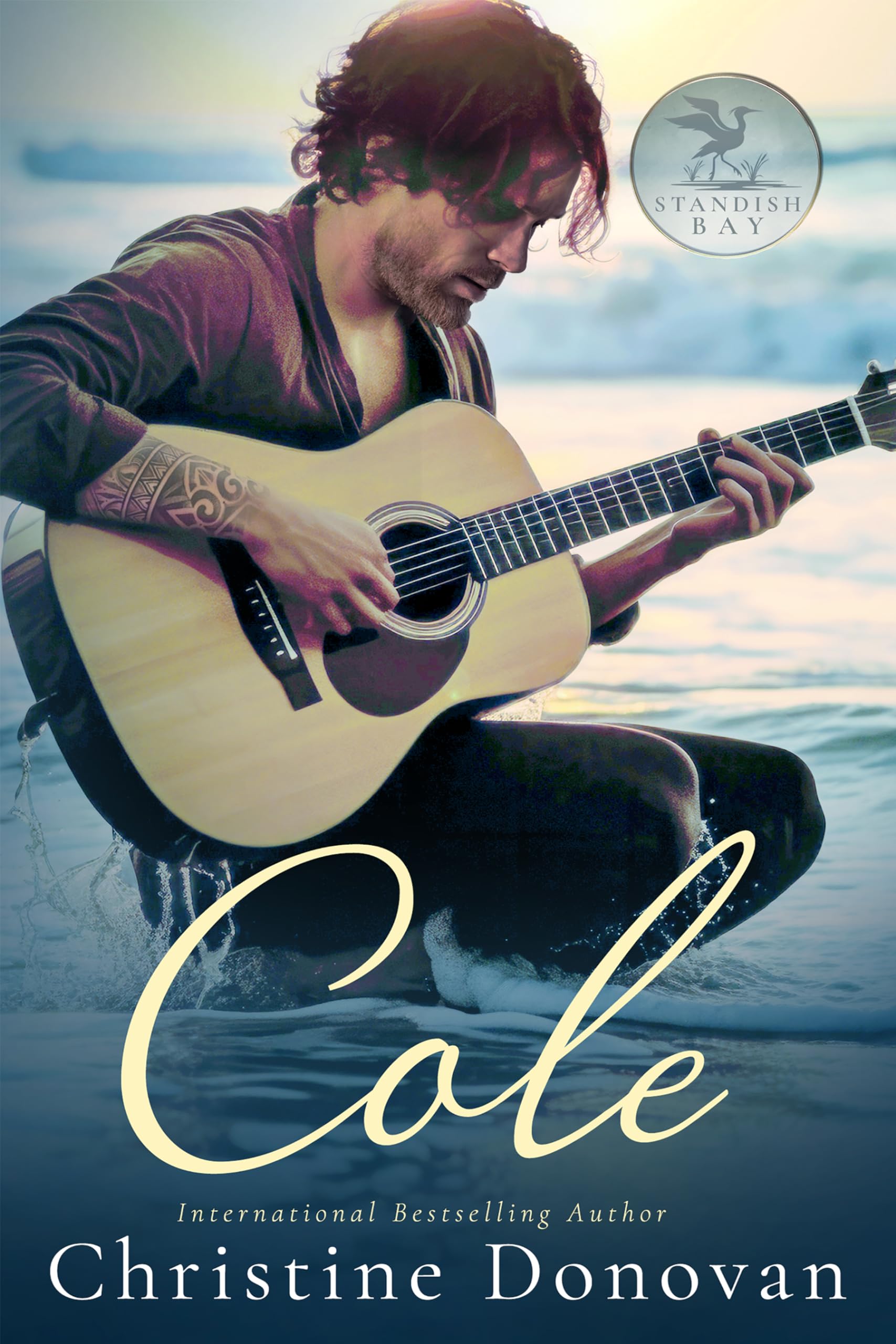 Cole: a Rock Star Story Bay Book
