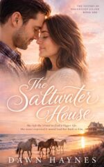 The Saltwater House : a Small Town Christian Romance Sisters of Wrenhaven Island Book