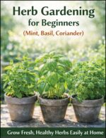 Herb Gardening for Beginners Basil, Grow Fresh, Healthy Herbs Easily at Home