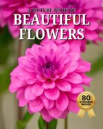 Beautiful Flowers: a Picture Book of 80 Stunning Flower Photos for Seniors and People Living With Alzheimer’s and Dementia Care
