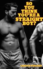 So You Think You’re a Straight Boy? : the Complete Series & Other M/m Erotic Stories