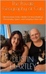 The Private Geography of Cats: Observations From a Multi-cat Household on Personality, Space, and Everyday Feline Life