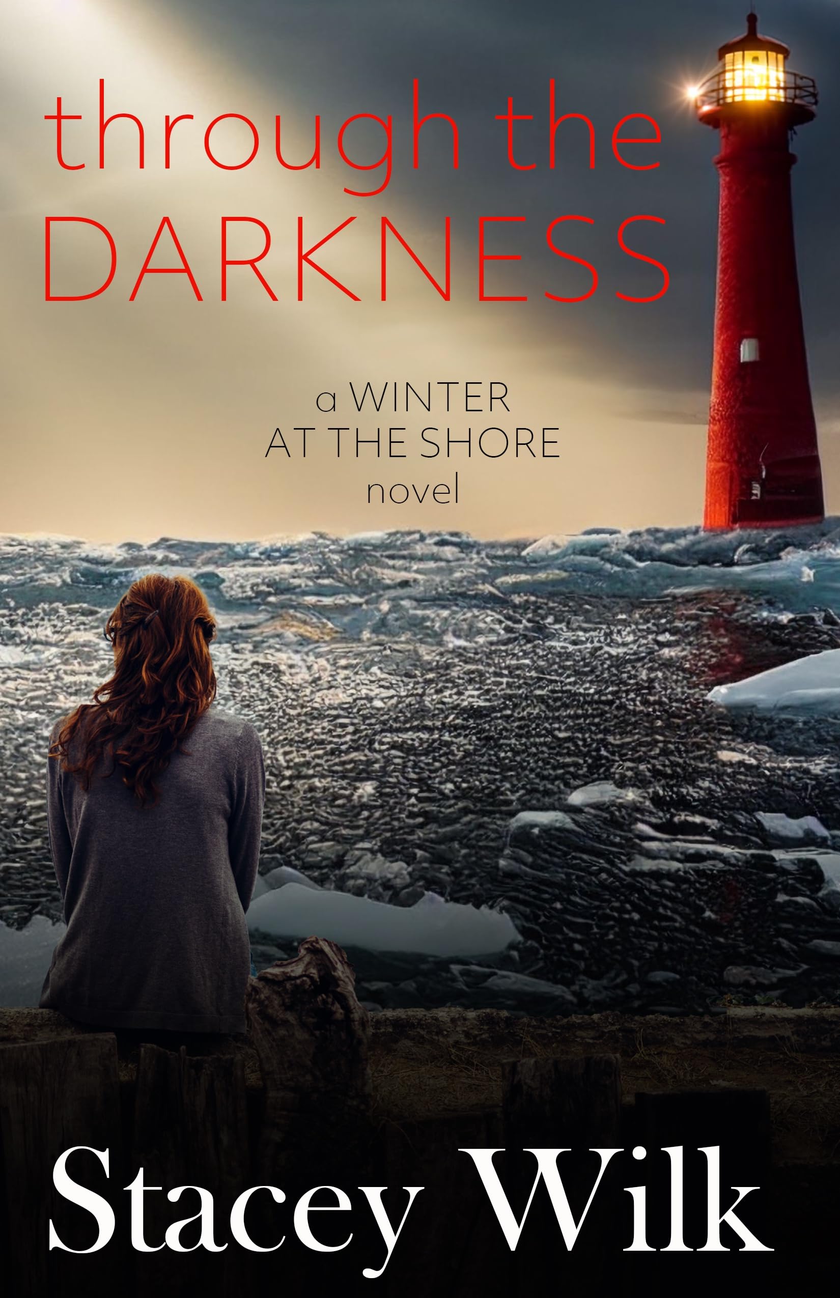 Through the Darkness at the Shore Book