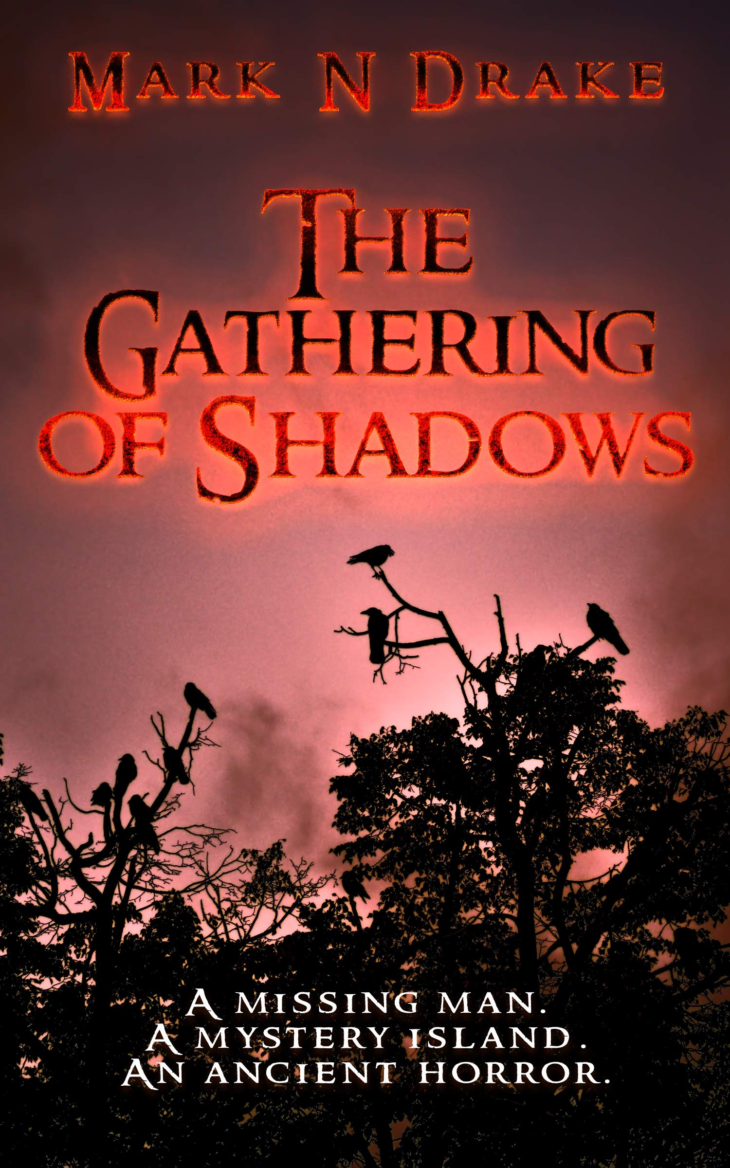 The Gathering of Shadows Glennison Darkisle Cases Book